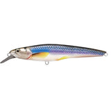 Live Target Poisson nageur Rainbow Smelt RS-S